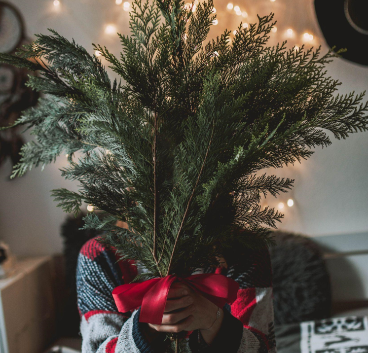 Christmas Tree Clearance and DIY Holiday Decor Ideas