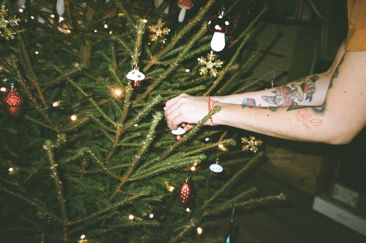 Christmas Trees with Lights that Brighten Your Holidays